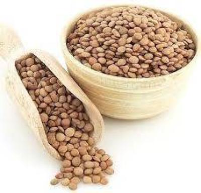 عدس خارجی درشت فله